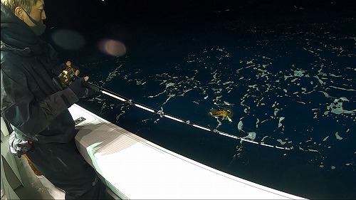 【サイト版】タルイカジギング!福井県敦賀の釣船『竹宝丸』でタルイカ釣りを学ぶ!/タルジギHowto!