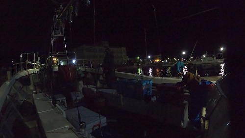 【サイト版】タルイカジギング!福井県敦賀の釣船『竹宝丸』でタルイカ釣りを学ぶ!/タルジギHowto!