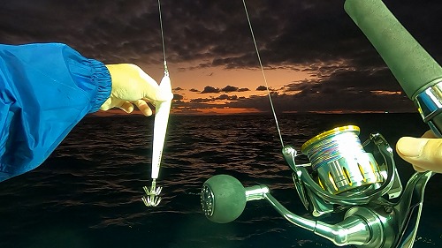 【サイト版】タルイカジギング!福井県敦賀の釣船『竹宝丸』でタルイカ釣りを学ぶ!/タルジギHowto!