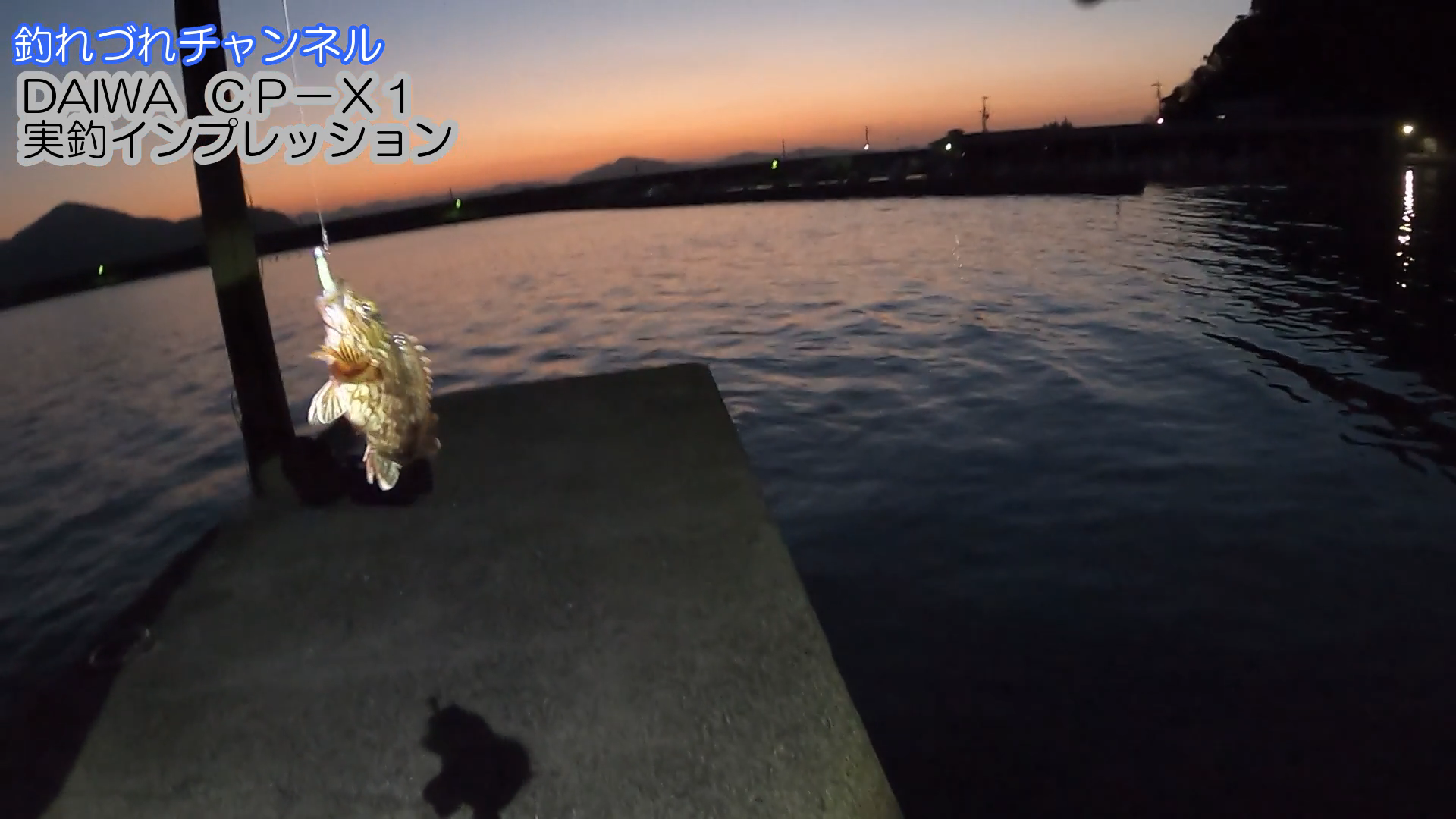 Daiwaモバイルタックル“CP−X1” −実釣インプレ−